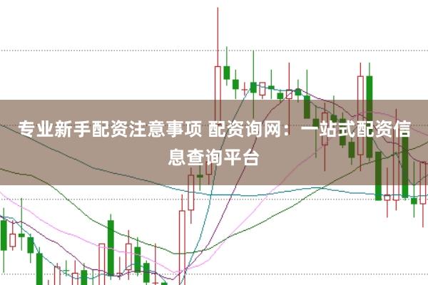 专业新手配资注意事项 配资询网：一站式配资信息查询平台