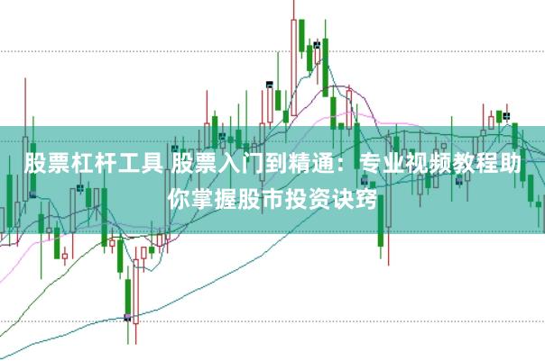 股票杠杆工具 股票入门到精通：专业视频教程助你掌握股市投资诀窍