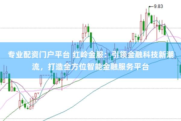 专业配资门户平台 红岭金服：引领金融科技新潮流，打造全方位智能金融服务平台