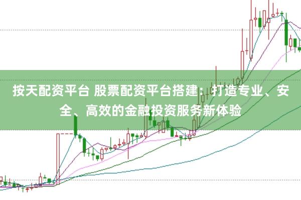 按天配资平台 股票配资平台搭建：打造专业、安全、高效的金融投资服务新体验