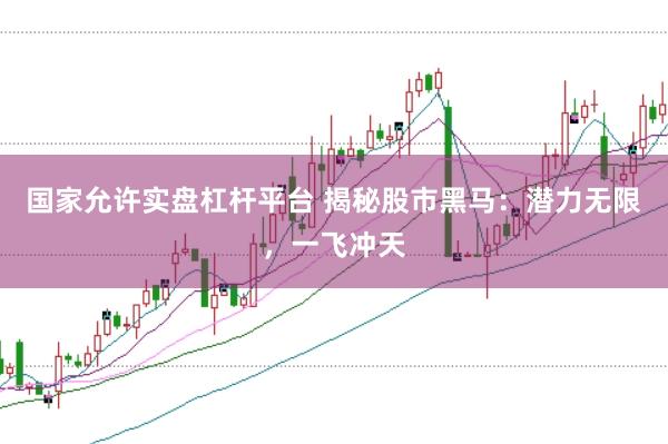 国家允许实盘杠杆平台 揭秘股市黑马：潜力无限，一飞冲天
