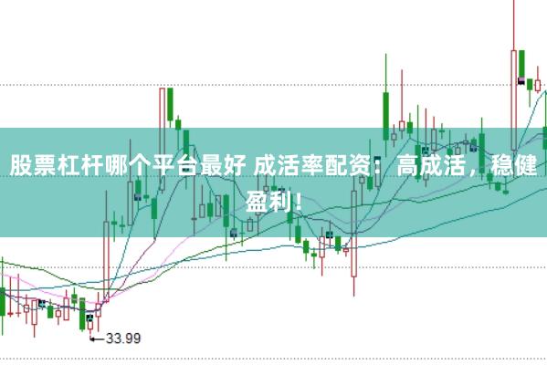 股票杠杆哪个平台最好 成活率配资：高成活，稳健盈利！