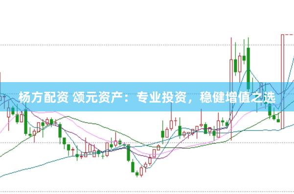 杨方配资 颂元资产：专业投资，稳健增值之选