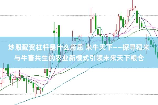 炒股配资杠杆是什么意思 米牛天下——探寻稻米与牛畜共生的农业新模式引领未来天下粮仓