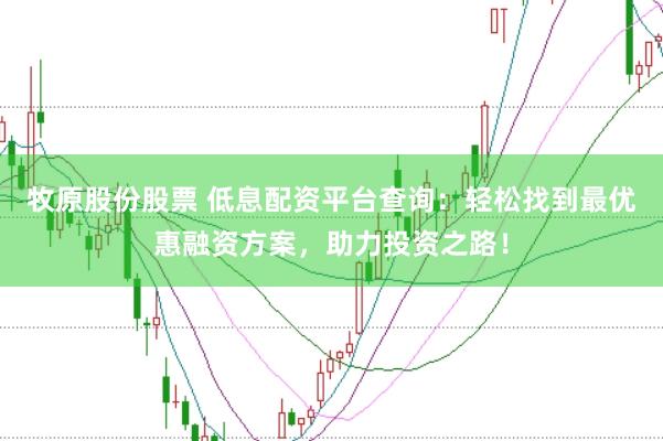 牧原股份股票 低息配资平台查询：轻松找到最优惠融资方案，助力投资之路！