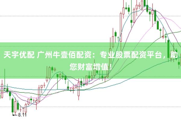 天宇优配 广州牛壹佰配资：专业股票配资平台，助您财富增值！