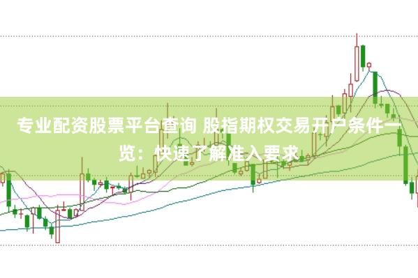 专业配资股票平台查询 股指期权交易开户条件一览：快速了解准入要求