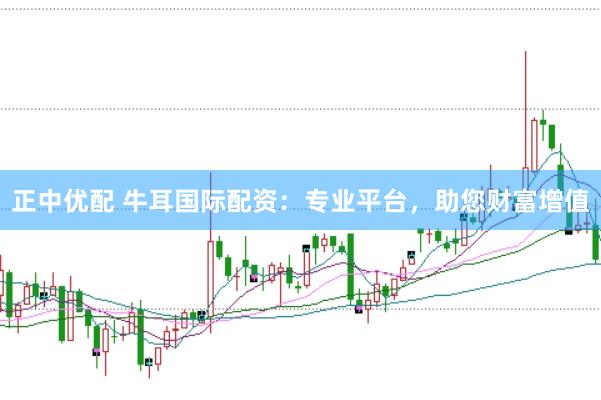 正中优配 牛耳国际配资：专业平台，助您财富增值