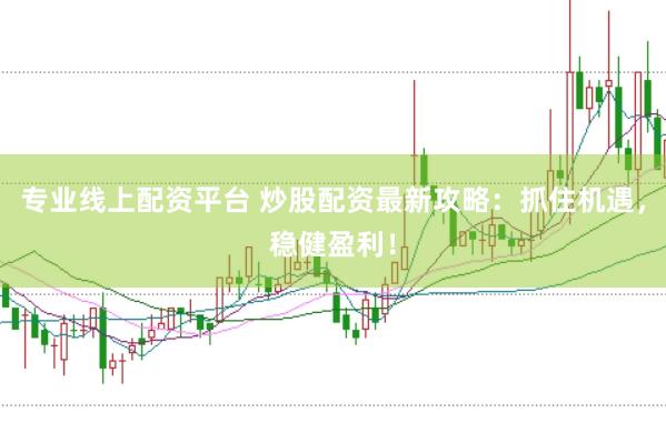 专业线上配资平台 炒股配资最新攻略：抓住机遇，稳健盈利！