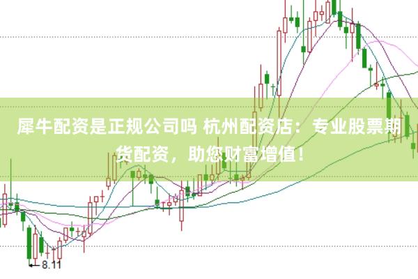犀牛配资是正规公司吗 杭州配资店：专业股票期货配资，助您财富增值！