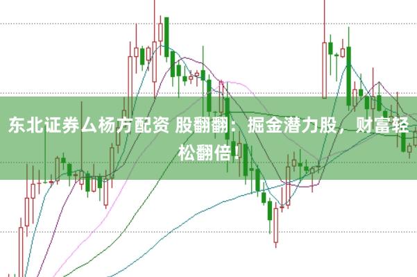 东北证券厶杨方配资 股翻翻：掘金潜力股，财富轻松翻倍！