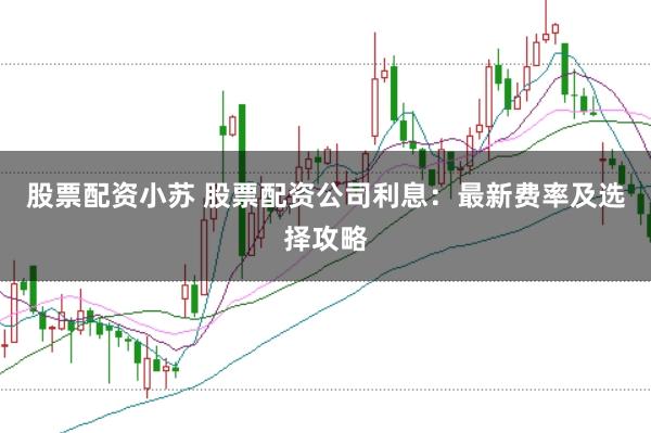 股票配资小苏 股票配资公司利息：最新费率及选择攻略