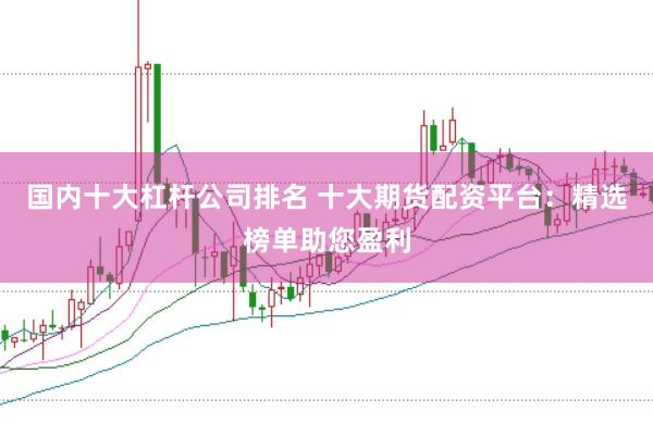 国内十大杠杆公司排名 十大期货配资平台：精选榜单助您盈利