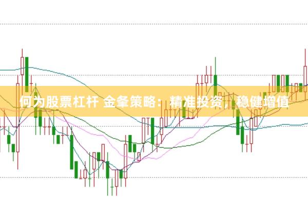 何为股票杠杆 金夆策略：精准投资，稳健增值