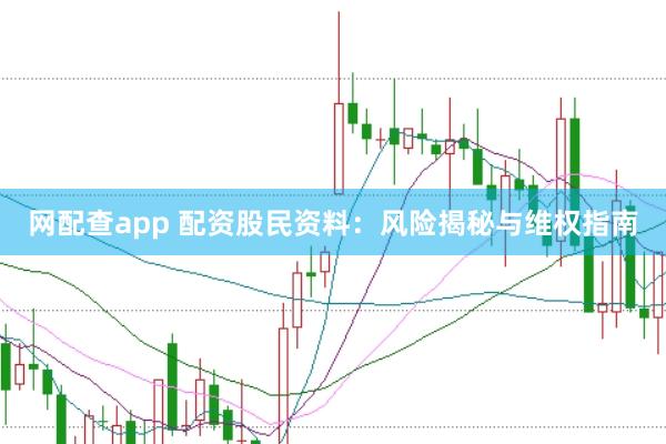 网配查app 配资股民资料：风险揭秘与维权指南
